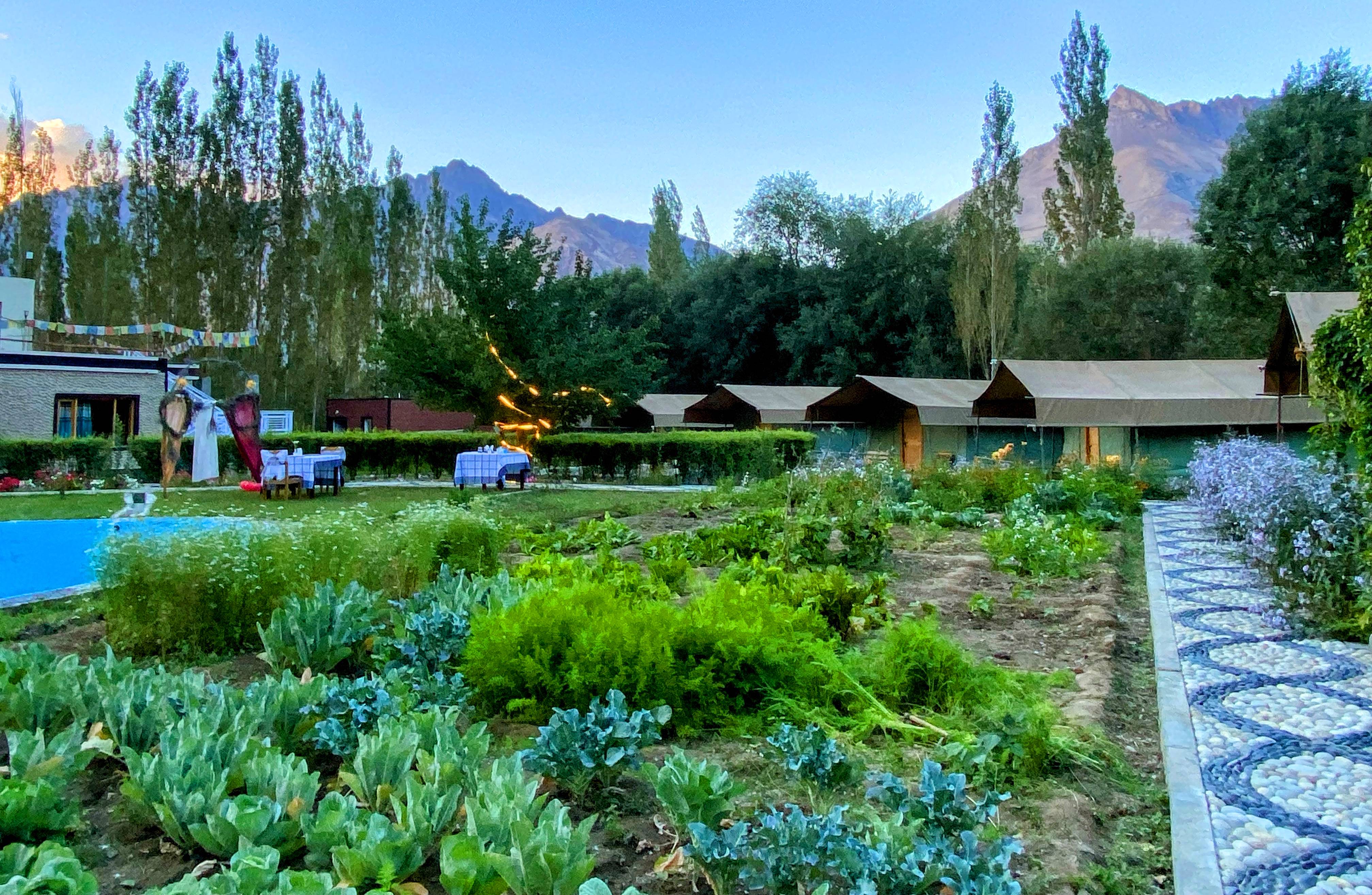 Pebbles Resort